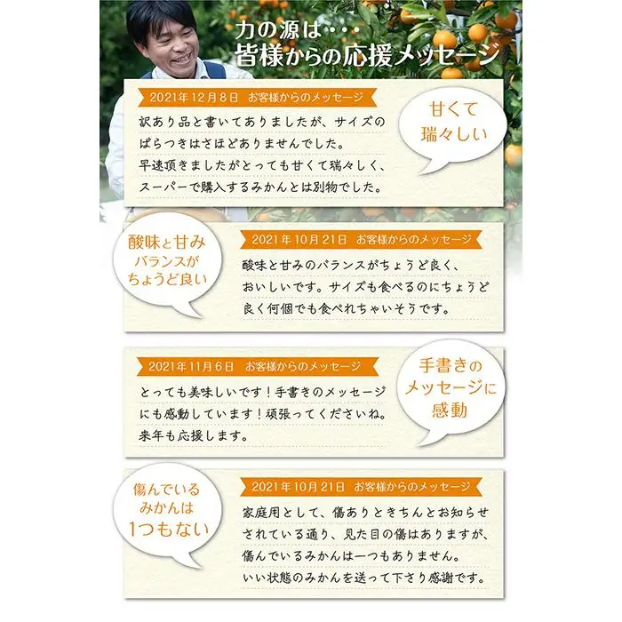 訳ありみかん 5kg 混合サイズ みかん 和歌山県海南市鈴木農園から直送