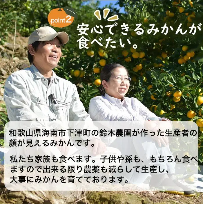 訳あり みかん 5kg 鈴木農園蔵出しみかん