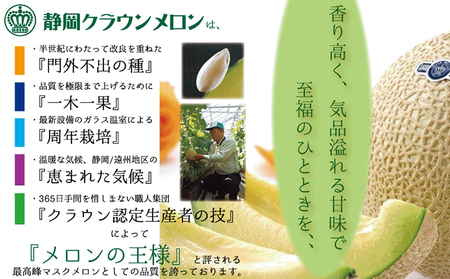 クラウンメロン　小玉×1玉【配送不可：離島】 果物類 メロン青肉 