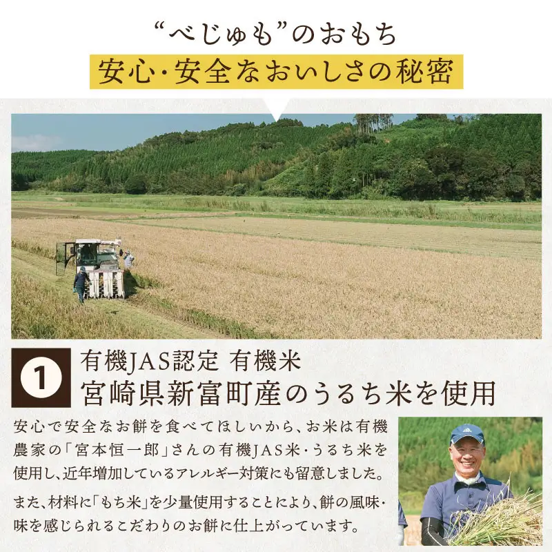 有機米でつくった箸でほぐれる手づくり 冷凍おもち（小）180g×6袋（1袋あたり：16～17個）【B479】	