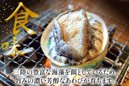 アワビ 鮑 天然 蝦夷あわび パック 約1kg [たみこの海パック 宮城県 南三陸町 m304amh560080]