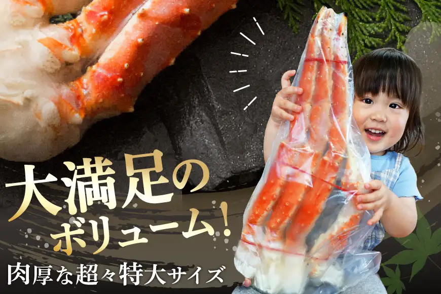 タラバガニ 約1.5kg 極太7Lサイズ かに 蟹 カニ [宮城県 気仙沼市 20564326]