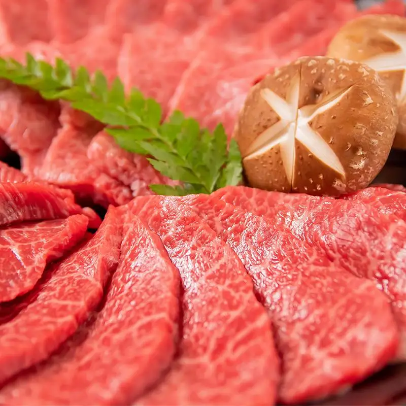 黒毛和牛「宮崎和牛 齋藤牛」 焼肉＆ホルモン ファミリーセット900g＜5-10a＞