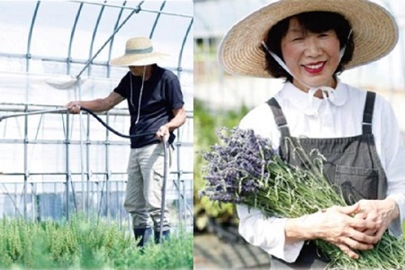 新鮮！ハーブ農園から直送　ハーブティ5種セット_CI02