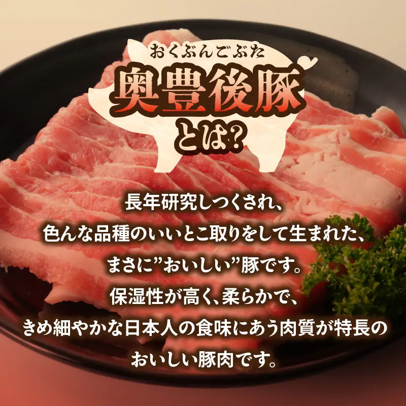 大分県産 奥豊後豚の丼セット 計7パック A02025