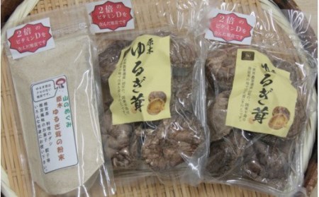 中野屋の油留木乾し椎茸 ＆椎茸パウダーセット _1734R