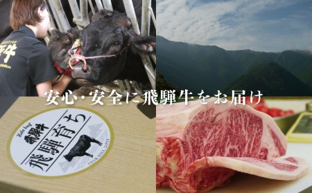 《定期便》飛騨牛 4回お届け 4ヶ月 焼肉 すき焼き しゃぶしゃぶ ミニステーキ 500g 5等級[Q603]
