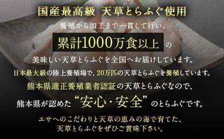 【ミシュラン星付きのプロが愛用】【着日指定不可】【数量限定】【白子付】大皿使用 国産最高級！天草とらふぐコース（3～4人前）【2026年12月下旬-2027年3月下旬発送予定】ふぐ刺し ふぐ鍋 フグ ふぐ刺身セット 河豚