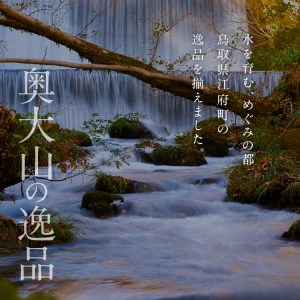 天然水奥大山 500ml×24本 ミネラルウォーター 軟水 ペットボトル 500ミリ ヨーデル PET 0529