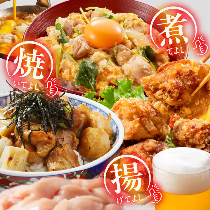 国産若鶏3kgセット 小分けパック!カット済み!(もも300g×3P・むね皮なし300g×7P)〔11-33-007-N3kg〕_(都城市) 鶏肉 一口サイズ 使いやすい 冷凍