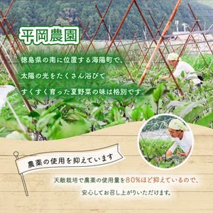 なす 約25本 茄子 ナス 産地直送 天敵栽培 【2026年7月以降順次発送】