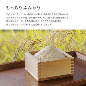 お米 令和7年産 日本酒に合う コシヒカリ 白米 5kg [ 米 こめ コメ 精米 ] 