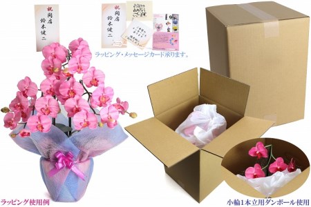 綺麗で丈夫な三河陶器で贈る光触媒胡蝶蘭小輪１本立（モカの陶器×ピンクの花）H100-082