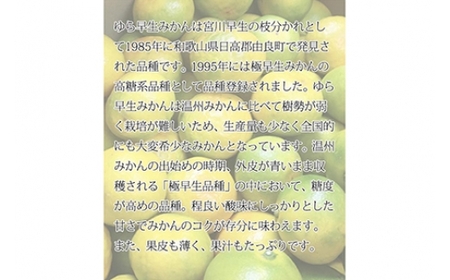 【2026年先行予約】紀州和歌山有田産ゆら早生みかん 5kg ｜早生みかん フルーツ 果物 みかん