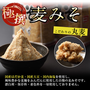 i430 おすすめ鹿児島の味セット4種(甘露さしみ醤油・あまくち醤油・白だし・麦みそ)しょうゆや味噌など4種の調味料詰め合わせ！ 調味料  醤油 しょうゆ 白だし 出汁 味噌 みそ 詰め合せ セット 甘口 刺身 麦みそ【奈良醸造元】