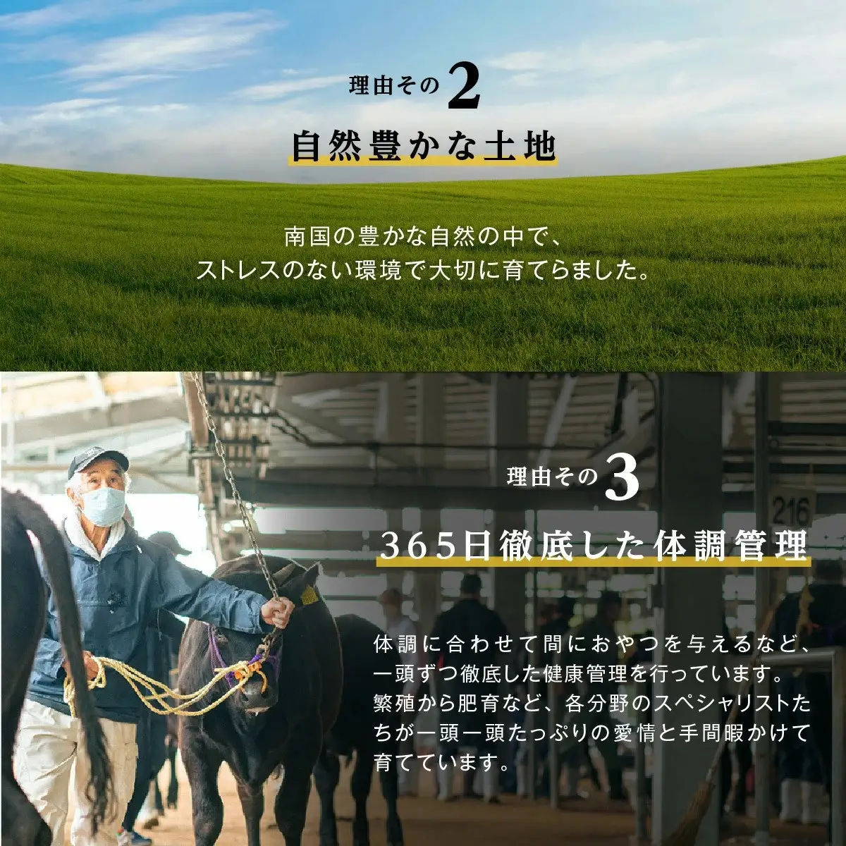 鹿児島県産 黒毛和牛 赤身（モモ）焼肉用　 | 黒毛和牛