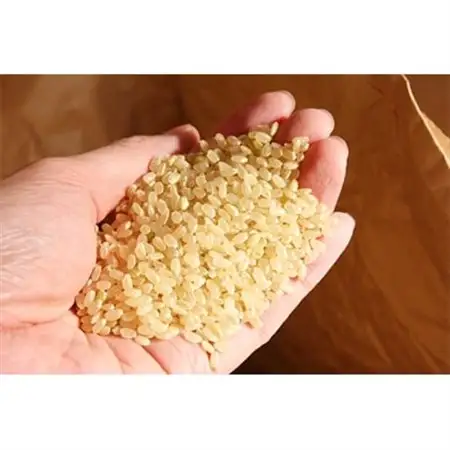 【五つ星お米マイスター厳選】青森県産　天匠米あさゆき　白米5kg_ 精米 米 _【1132700】