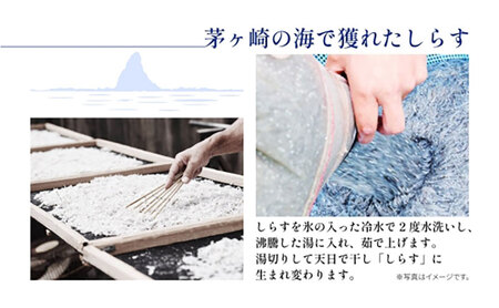 茅ヶ崎 しらす 生 新鮮 600g 網元 船 茹で上げ ゆでる 天日干し 白 透明 湘南 相模湾 朝獲れ  食卓  しらす丼 ポン酢 卵 海 漁 湯切り 濃厚 ふっくら 冷凍 神奈川県 茅ケ崎市