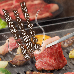 神戸牛カルビ焼肉700g 《 肉 カルビ 神戸牛 焼肉 国産 バーベキュー サシ 和牛 プレゼント ギフト お取り寄せ 送料無料 おすすめ 》【2402A00214】