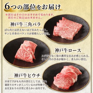 自社牧場直送神戸牛6点食べ比べ焼肉(600g)《 国産 自社牧場直送 肉のヒライ 焼肉 食べ比べ 牛肉 霜降り ロース ハラミ 三角バラ カルビ お楽しみ セット 詰め合わせ 》【2403A00104】