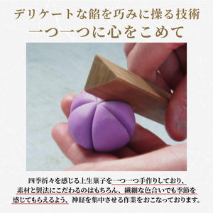 ふるさと納税限定 創作上生菓子｢花木暦｣《上生菓子 美味しい お菓子 手作り 国産 スイーツ 詰め合わせ プレゼント お取り寄せ 贈答 ギフト 送料無料 美味しい おすすめ》【2402H01704】