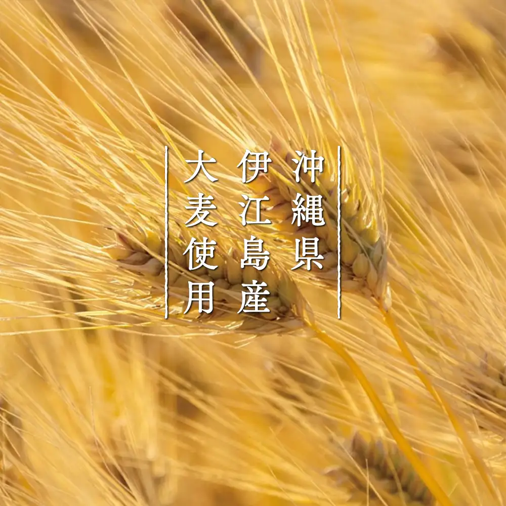 オリオンビール　ザ・ドラフト　ギフトセット（350ml×12缶）