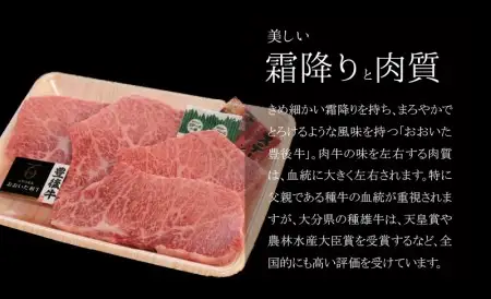 百年の恵み『おおいた和牛』づくし定期便 T10005