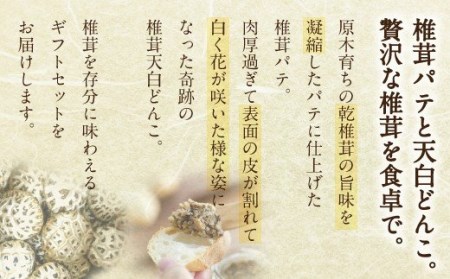 椎茸 パテ 90g×1個 天白 どんこ 45g セット 肉厚 [岡田商店 宮崎県 美郷町 31ac0041]