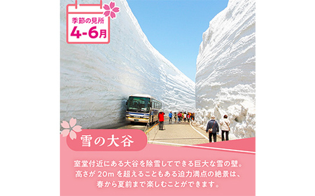 立山黒部アルペンルート ( 立山駅 ～ 黒部湖駅 ※往復 ) 優待券 立山黒部貫光観光 旅行 券 チケット 体験 トラベル 黒部 富山県 立山町 F6T-781
