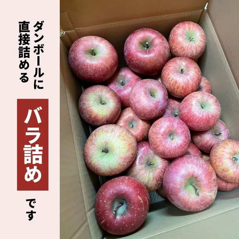 No.1207 福島のりんご「サンふじ」家庭用（バラ詰め簡易梱包） 約10kg【2026年度発送】