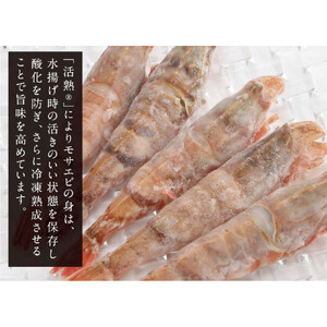 鳥取県産 生食用もさ海老 山田屋