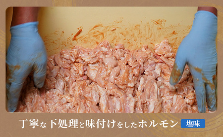 たきもとのホルモン（塩味）・味付ジンギスカン 豚肉 羊肉 ラム肉 ふるさと納税 