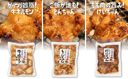 白川郷 自家製 ホルモン けいちゃん とんちゃん セット 計1kg（250g×3種4個セット） 国産牛 豚 鶏肉 郷土料理 味噌漬け 味付き BBQ バーベキュー 自家製 簡易梱包 訳あり 訳アリ てんから 10000円 [S465]