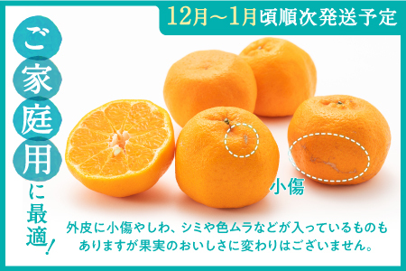AA076.ぽんかん（5kg程度）／2026年12月～2027年1月配送予定