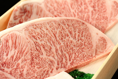 A5-A4 山形牛メス牛食べつくし 肉パーティーセット F2Y-1755