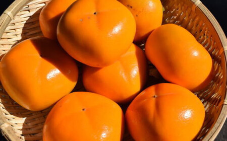 【秋の味覚】和歌山産のたねなし柿2L～4Lサイズ約4kg（化粧箱入り）【tec409A】