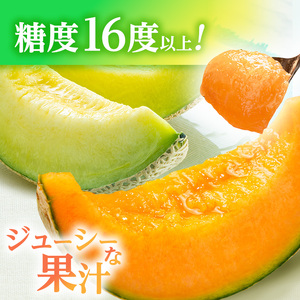 【先行予約2026年産】津軽産 減農薬栽培メロン 3～4玉 糖度16度以上保証！ 果物類 メロン青肉 フルーツ メロン赤肉 
