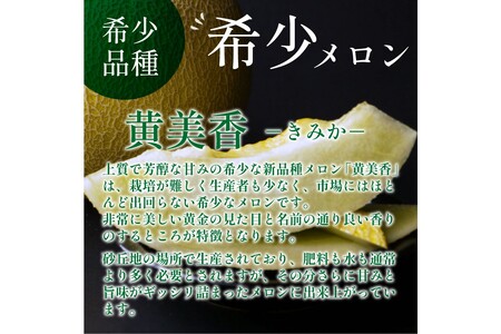 メロン／果物【先行予約／数量限定100】希少品種 黄美香（きみか）メロン 1玉（2026年7月下旬～発送）限定メロン ※メロン　フルーツ・メロン1玉・果物