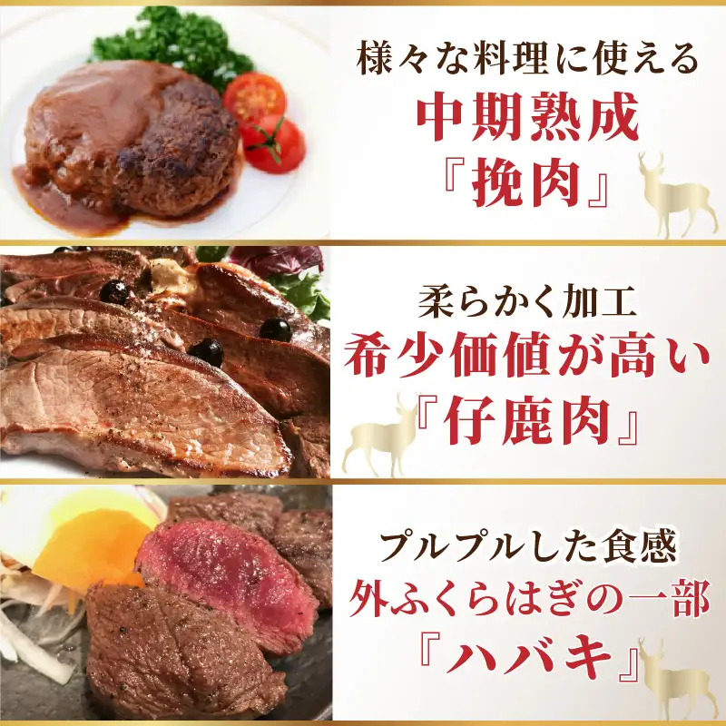 北見エゾシカ 熟成肉山の恵みセット ( 肉類 肉 国産 鹿肉 熟成 セット 詰め合わせ 骨付き ロース しんたま 内もも ステーキカット肉 ハバキカット ハツ ヒレ ステーキ用スライス )【025-0050】