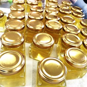 2025年採蜜 とみやはちみつ 120g×3個セット [0283]