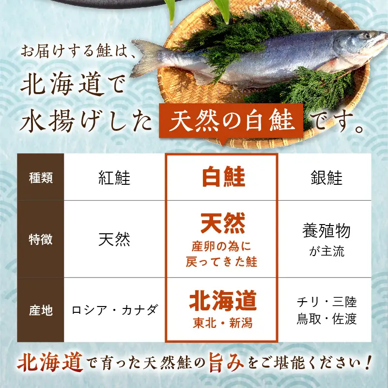 北海道産新巻鮭 オス 切り身姿づくり 約3kg～3.3kg ( サケ 魚介 魚 焼き魚 鮭 さけ 真空パック 甘塩 味付 数量限定 )【017-0024】