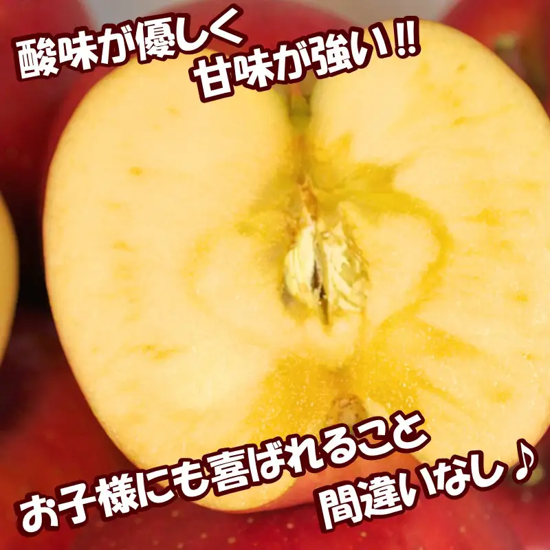 【予約：2026年10月下旬から順次発送】北海道北見市産 りんご 紅将軍 約5kg ( 果物 果実 蜜 旬 季節限定 数量限定 果肉 )【044-0007-2026】