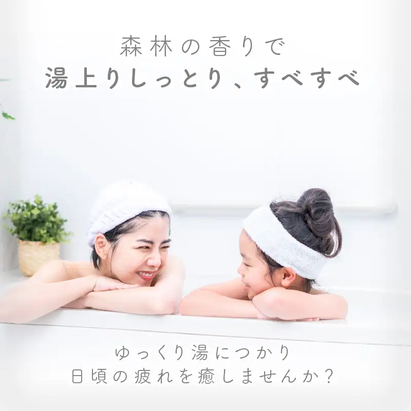 魔法の温泉水！入浴剤「夢風泉」 ( 温泉 温泉水 入浴剤 お風呂 ふるさと納税 )【011-0004】