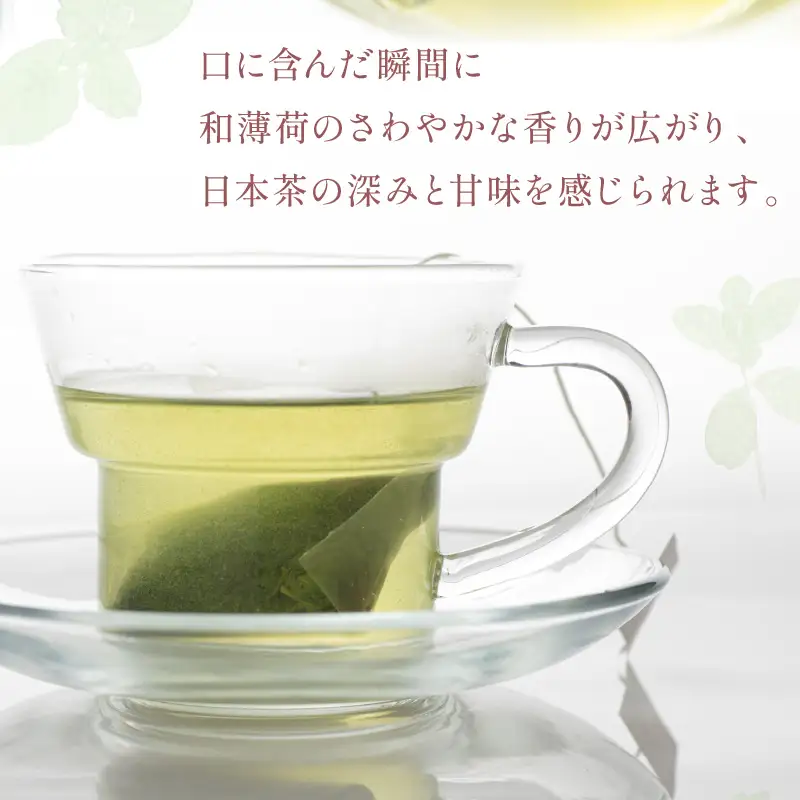 【3ヶ月定期便】北見和種薄荷 グリーンティーセット ( お茶 茶 詰め合わせ 定期便 ハッカ 薄荷 フレーバーティー )【999-0213】