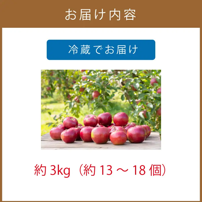 りんご 148470-1-