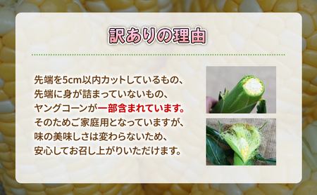 訳あり とうもろこし 先行予約 甘々娘 または 甘太郎 約8本～14本 家庭用 テルもろこし 先端カット済 個包装 レンジ調理 レンチン 旬 冷蔵配送 静岡 浜松市  2026年6月下旬頃より順次発送 配送不可：離島