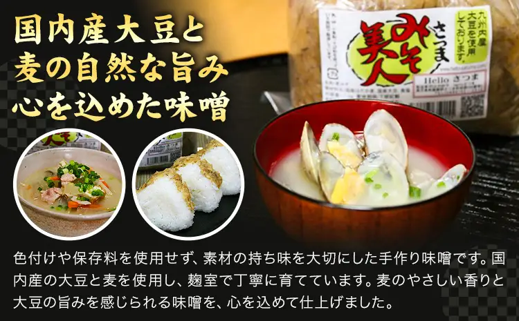 麦みそ さつまみそ美人 9kg 900g×10袋 Helloさつま《30日以内に出荷予定(土日祝除く)》