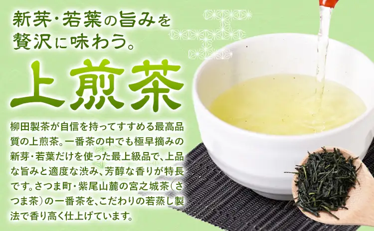 若蒸煎茶 上煎茶 セット 水出しボトル ハリオ 80g 柳田製茶《30日以内に出荷予定(土日祝除く)》鹿児島県 さつま町 ティーパック おうち時間 ティータイム 水出し セット 煎茶 緑茶 日本茶 ギフト 贈答 プレゼント