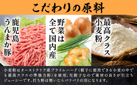 餃子 鹿児島 うんまか豚 生餃子 108個 