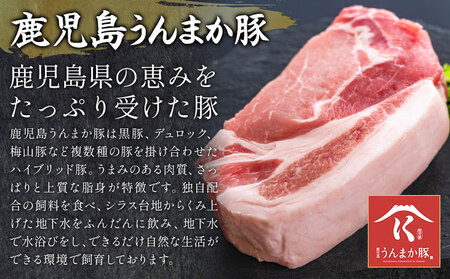 ミンチ鹿児島県産うんまか 豚ミンチ 計3kg 500g×6P